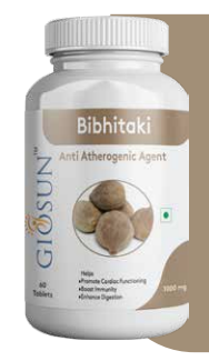 BIBHITAKI