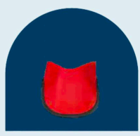 THYROID COLLAR STANDARD