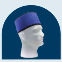 HEAD SHIELD